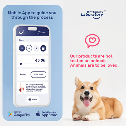 Whitening Laboratory mobile app interface on a smartphone for guiding users through whitening treatment, with a friendly dog emphasizing animal-friendly products.